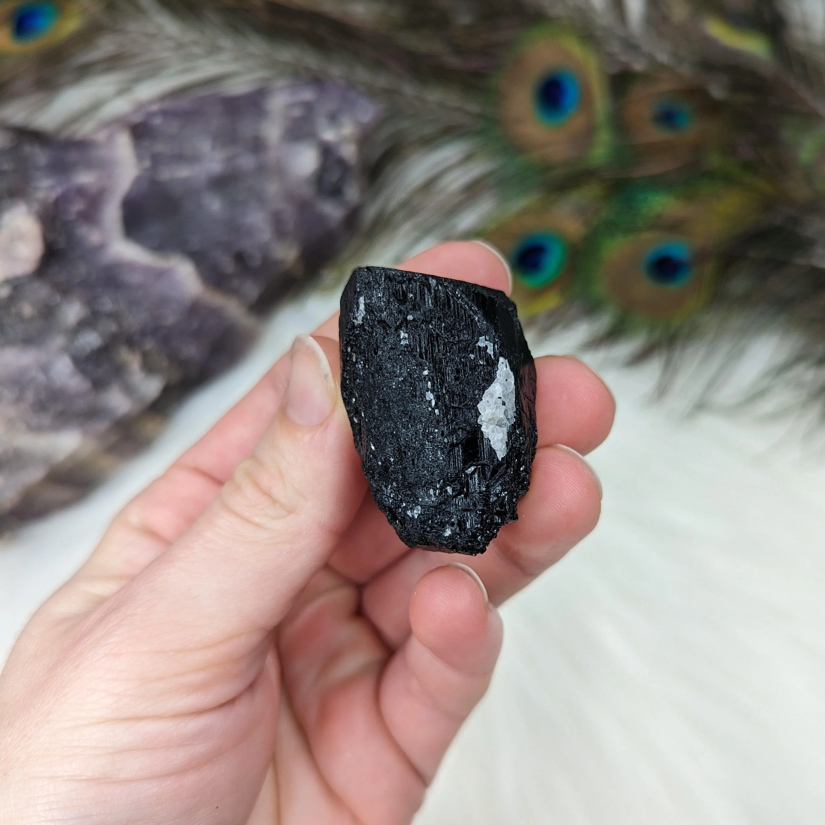 Black Tourmaline AA Gemmy Crystal Specimen