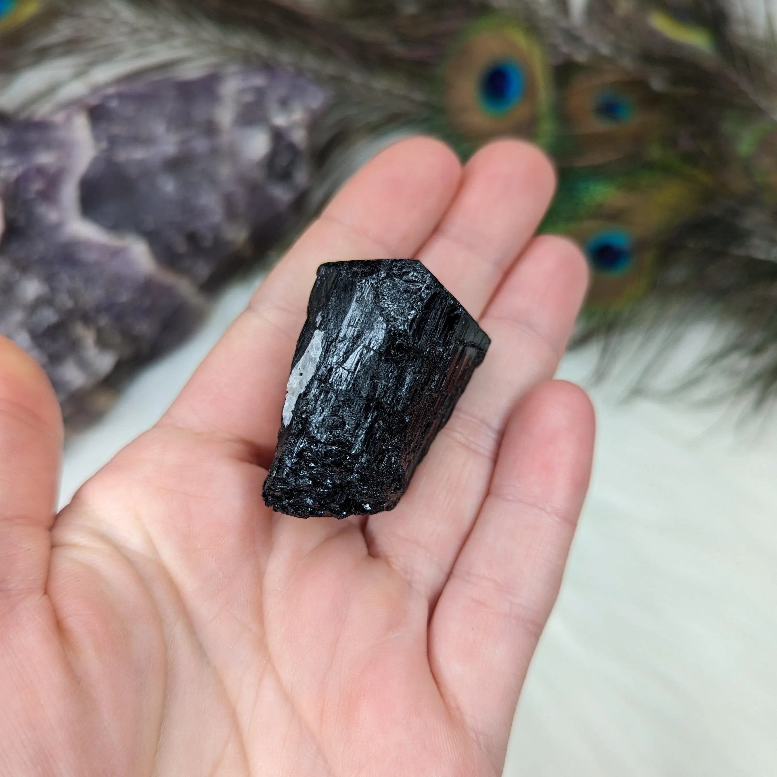 Black Tourmaline AA Gemmy Crystal Specimen