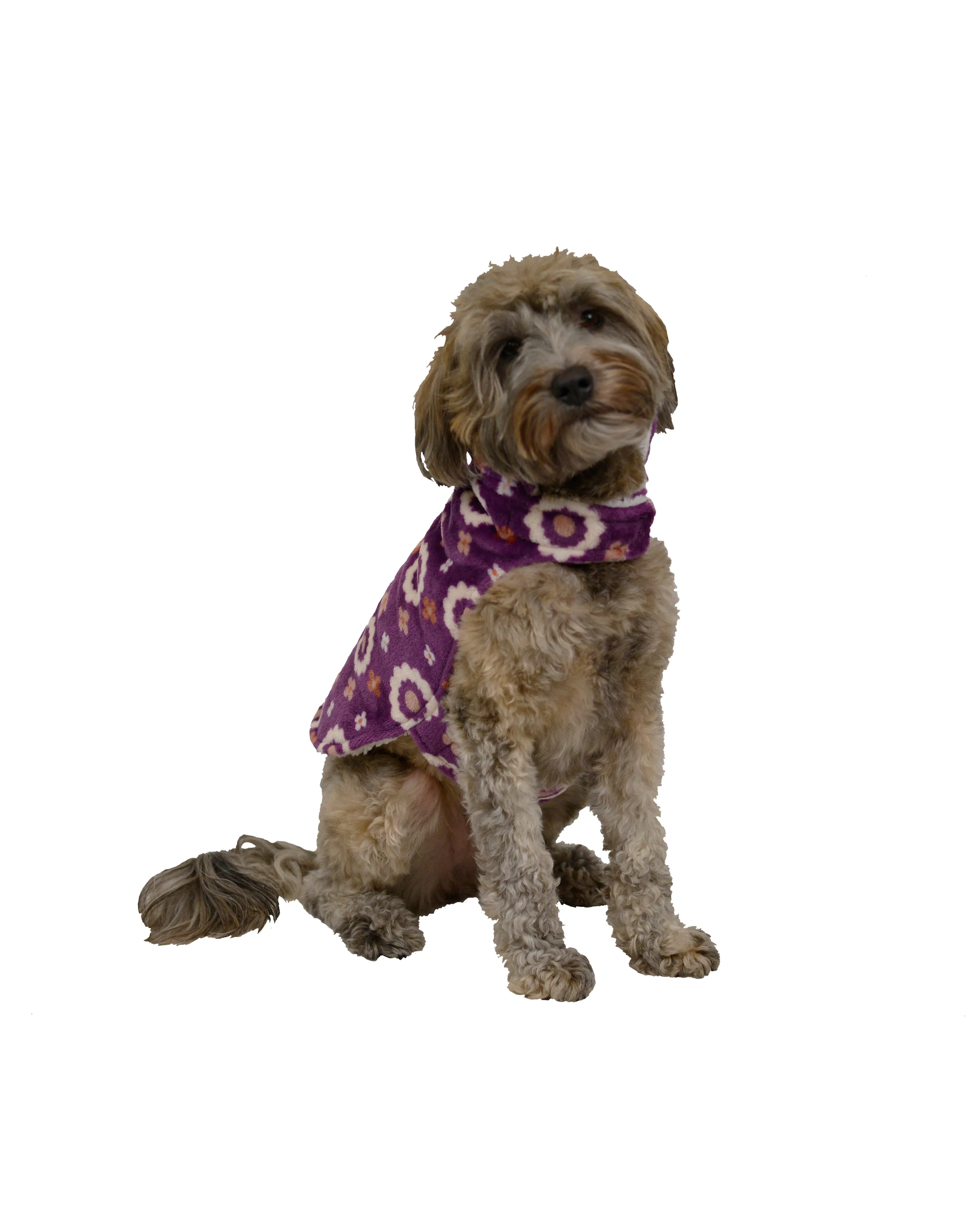 Celebrations Flower Power Dog Coat